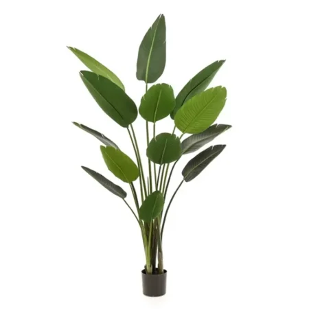 strelitzia-plant-h190cm-productfoto-tjkinterior