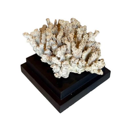 koraal-op-standaard-liggend-faux-tjkinterior
