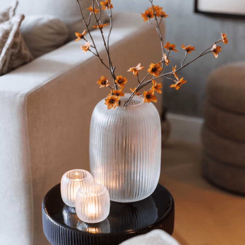 bombyxx-vaas-julie-clear-tjkinterior bombyxx-vaas-julie-clear-tjkinterior